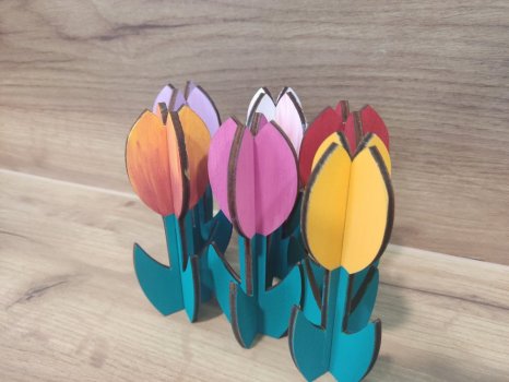 Tulipán poupě